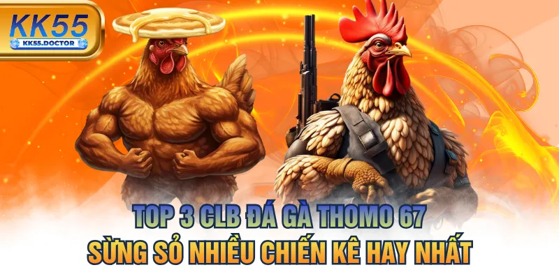Top 3 CLB Đá Gà Thomo 67 Sừng Sỏ Nhiều Chiến Kê Hay Nhất 5 Top 3 CLB Đá Gà Thomo 67 Sừng Sỏ Nhiều Chiến Kê Hay Nhất